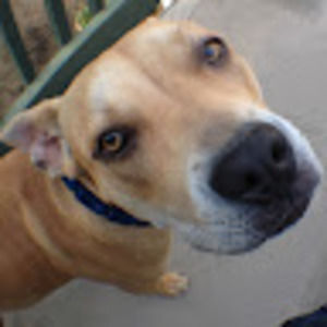 Meet your Posher, Brad